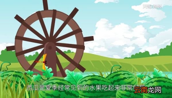 西瓜是酸性还是碱性 西瓜是什么性质的水果