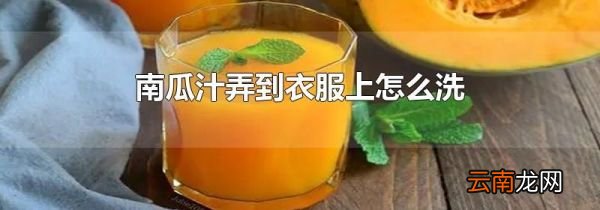 南瓜汁弄到衣服上怎么洗
