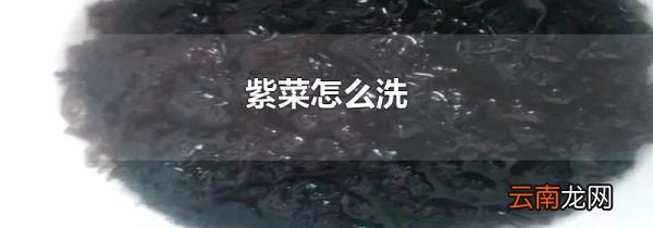 紫菜怎么洗