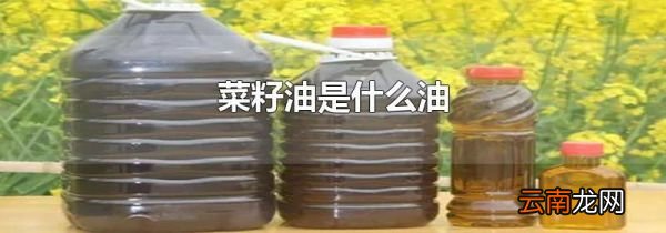 菜籽油是什么油