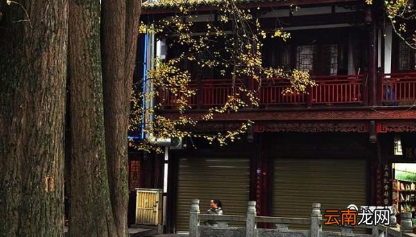 龙潭寺属于成都哪个区 龙潭寺属于成都的哪个区