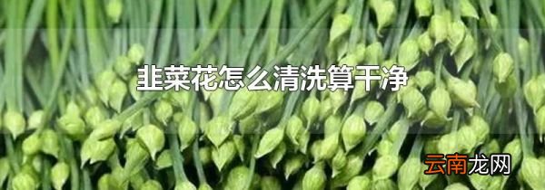 韭菜花怎么清洗算干净