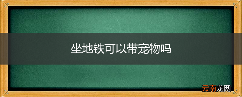 坐地铁可以带宠物吗