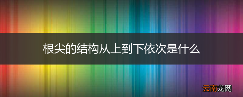 根尖的结构从上到下依次是什么