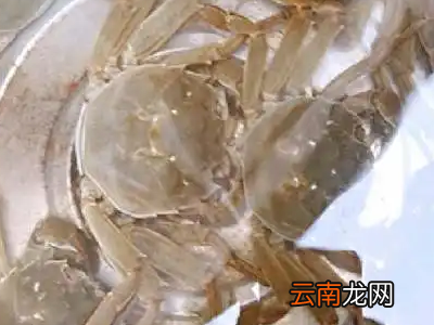 螃蟹怎么解冻