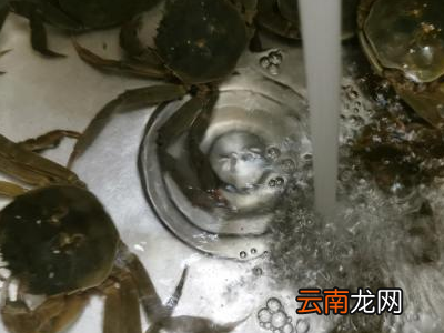 螃蟹怎么解冻