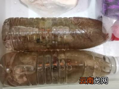 小白虾怎么保存才新鲜