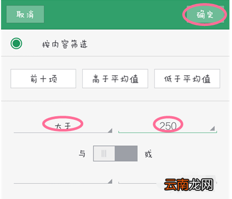 手机WPS中筛选详细操作步骤
