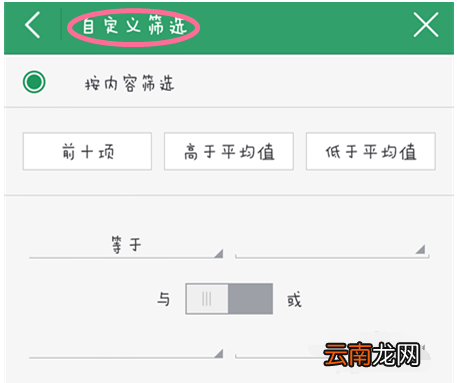 手机WPS中筛选详细操作步骤