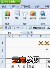 WPS2013中表格添加复选框具体操作步骤