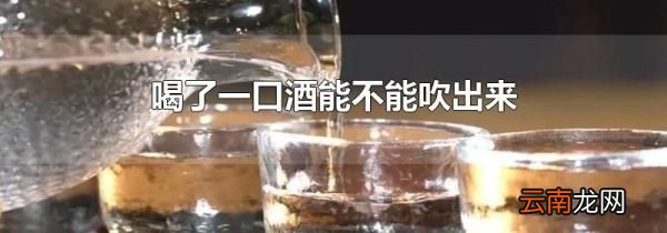 喝了一口酒能不能吹出来