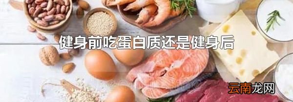 健身前吃蛋白质还是健身后