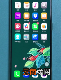 oppo reno更换输入法详细操作方法