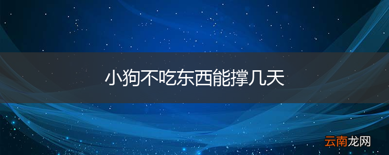 小狗不吃东西能撑几天