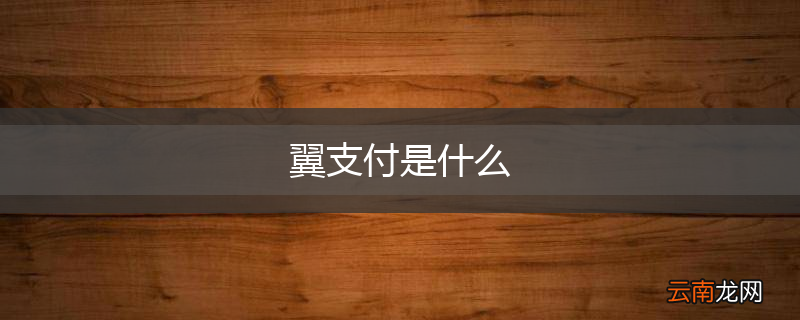 翼支付是什么