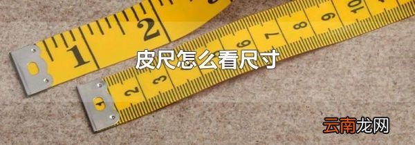 皮尺怎么看尺寸