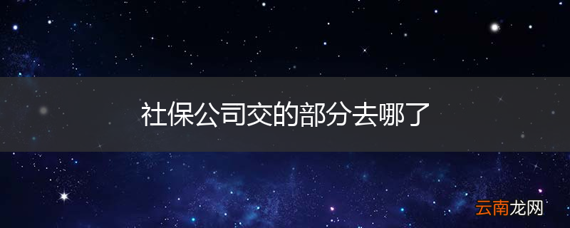 社保公司交的部分去哪了