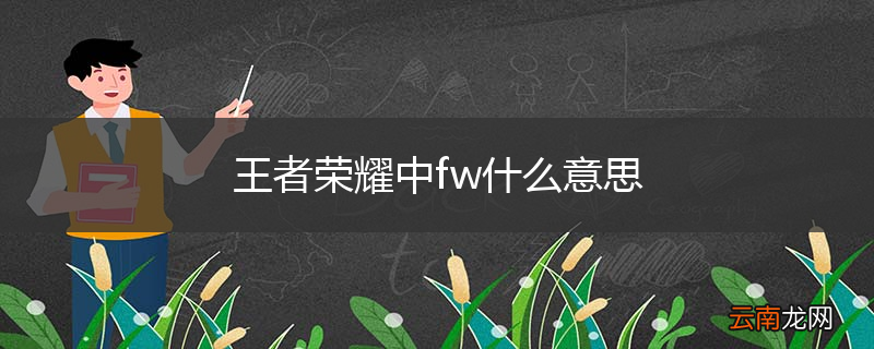 王者荣耀中fw什么意思