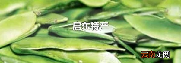 启东特产