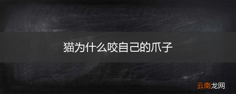 猫为什么咬自己的爪子