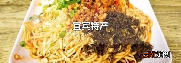 宜宾特产
