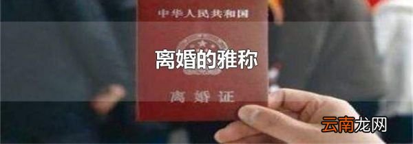 离婚的雅称