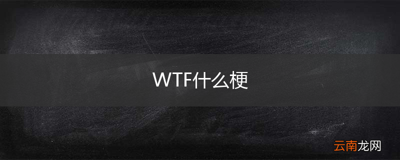 WTF什么梗