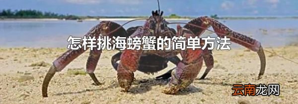 怎样挑海螃蟹的简单方法