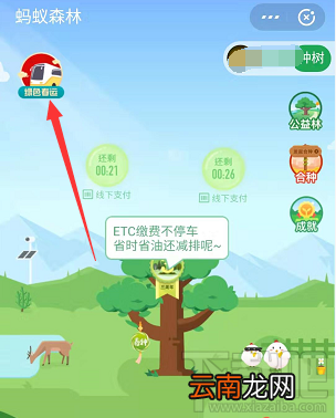 支付宝绿色春运活动大四喜怎么收集并兑换？