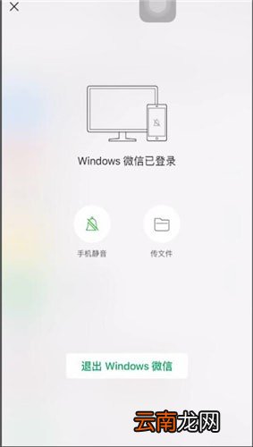 微信电脑版退出详细操作方法