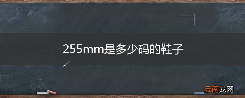 255mm是多少码的鞋子