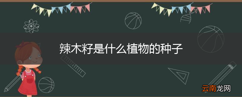 辣木籽是什么植物的种子