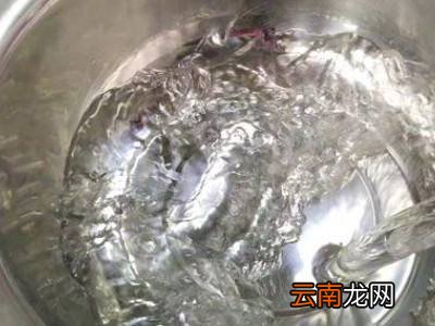 猫眼螺怎么保存新鲜