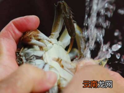 带绳的大闸蟹怎么清洗