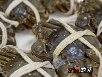 带绳的大闸蟹怎么清洗