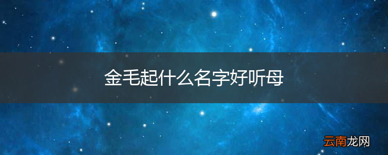 金毛起什么名字好听母