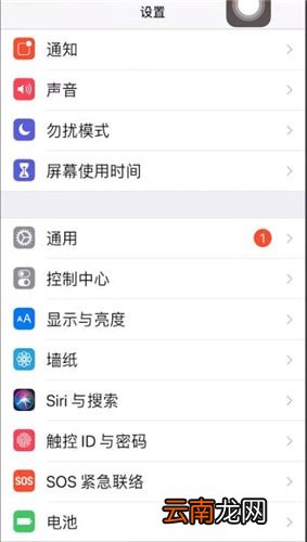 苹果手机中使用流量下载刺激战场具体操作步骤