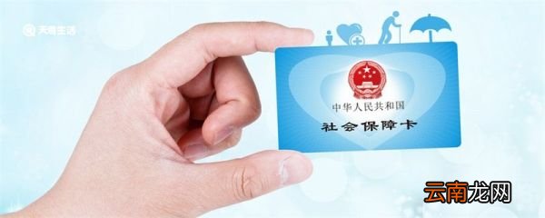 四川个人社保缴费查询 四川个人社保缴费如何查询