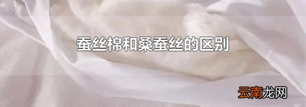 蚕丝棉和桑蚕丝的区别