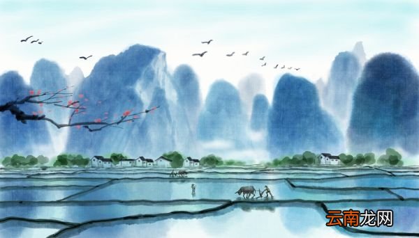 新城道中其一原文翻译赏析 新城道中其一原文的翻译赏析