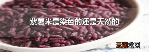 紫薯米是染色的还是天然的