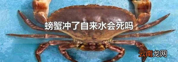 螃蟹冲了自来水会死吗