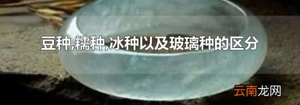 豆种,糯种,冰种以及玻璃种的区分