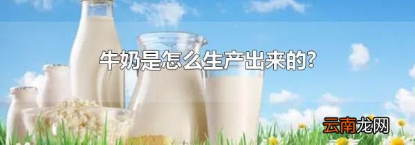 牛奶是怎么生产出来的?