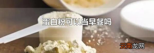 蛋白粉可以当早餐吗