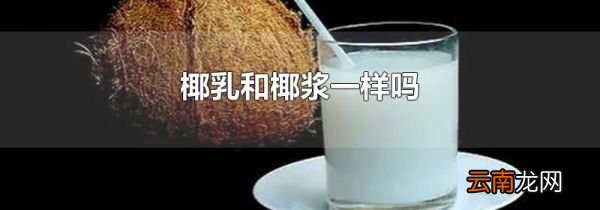 椰乳和椰浆一样吗