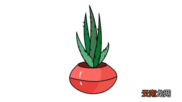 芦荟简笔画