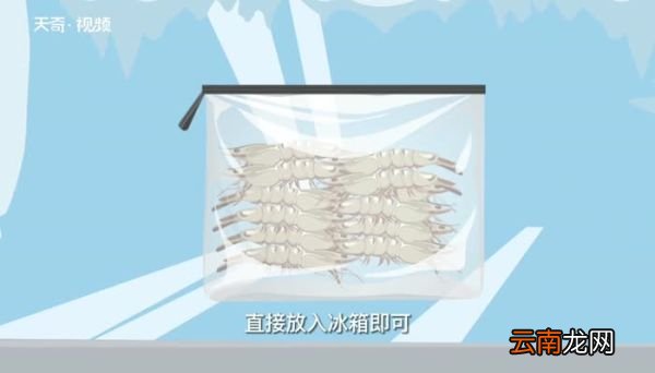 活虾可以直接放冰箱冷冻吗 活虾可不可以直接放冰箱冷冻吗
