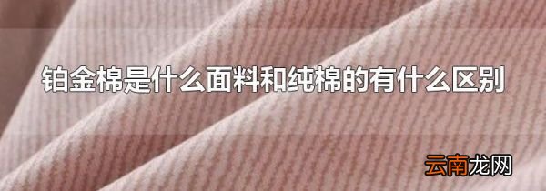 铂金棉是什么面料和纯棉的有什么区别