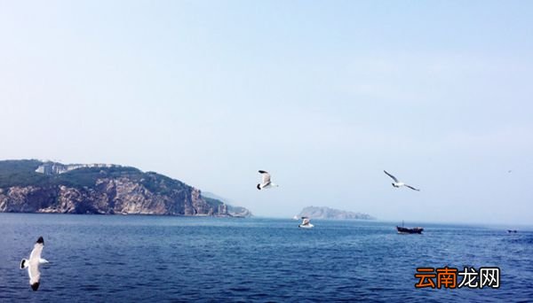 中山区是哪个城市的 中山区在哪个城市